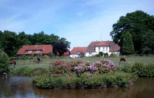 Der Reiterhof Rosenhof in der Lüneburger Heide