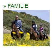 Reiterferien mit der Familie weltweit deutschland