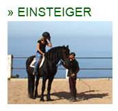 Reiturlaub Einsteiger, wieder auf Pferd