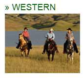 westernreiten reiterferien weltweit deutschland