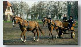 Tandem - Anspannung